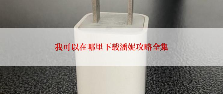 我可以在哪里下载潘妮攻略全集