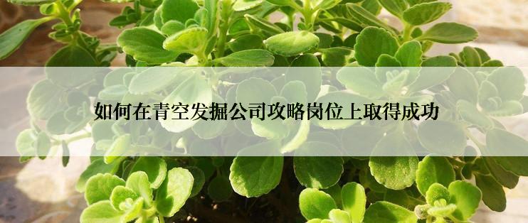  如何在青空发掘公司攻略岗位上取得成功