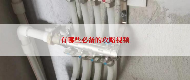 有哪些必备的攻略视频