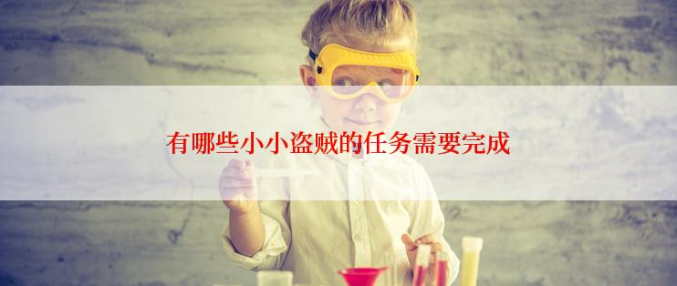 有哪些小小盗贼的任务需要完成