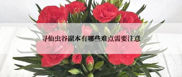 寻仙虫谷副本有哪些难点需要注意