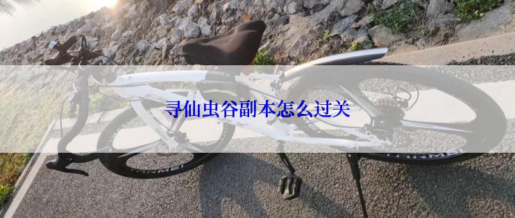 寻仙虫谷副本怎么过关