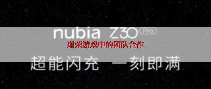 虚荣游戏中的团队合作