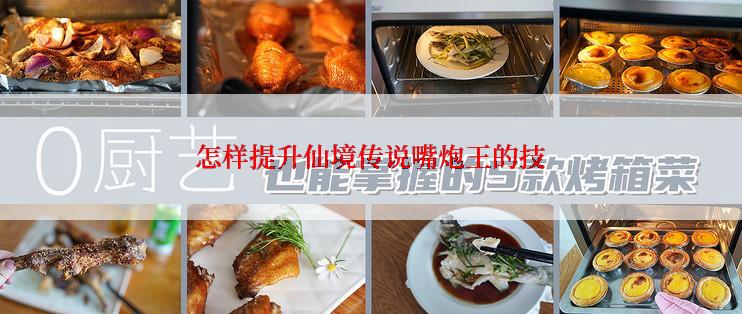 怎样提升仙境传说嘴炮王的技