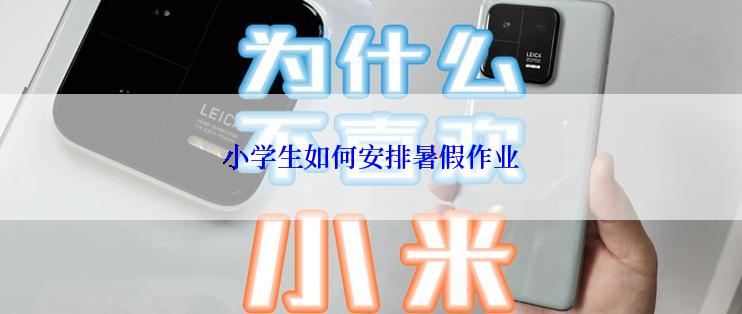 小学生如何安排暑假作业