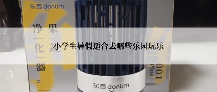 小学生暑假适合去哪些乐园玩乐