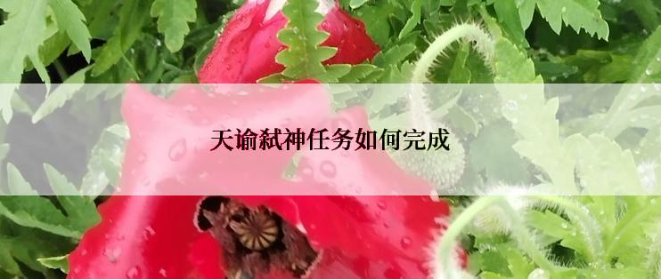 天谕弑神任务如何完成