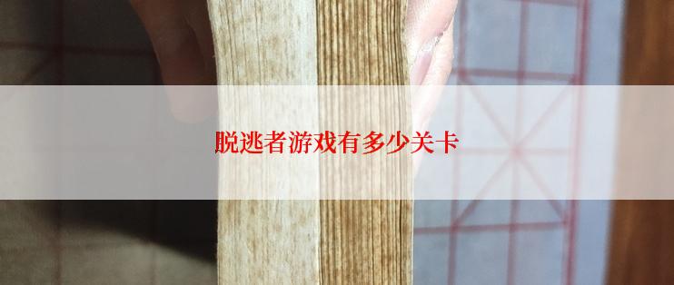 脱逃者游戏有多少关卡