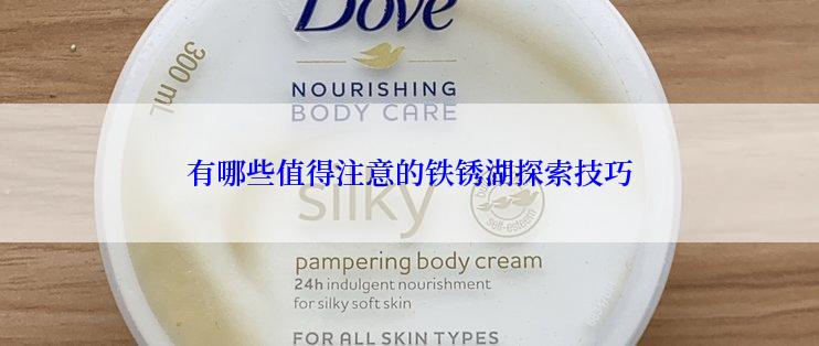 有哪些值得注意的铁锈湖探索技巧