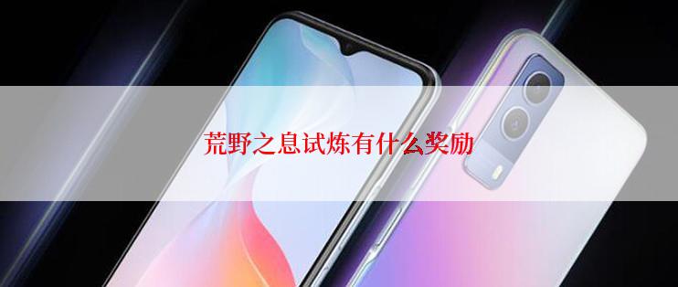 荒野之息试炼有什么奖励