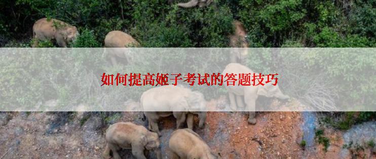  如何提高姬子考试的答题技巧