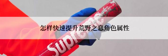  怎样快速提升荒野之息角色属性