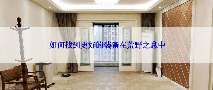  如何找到更好的装备在荒野之息中