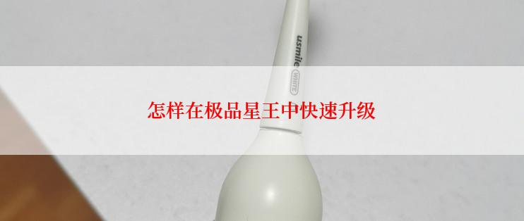 怎样在极品星王中快速升级