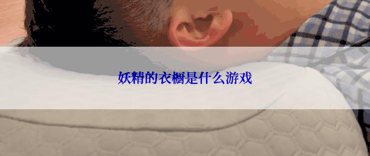 妖精的衣橱是什么游戏