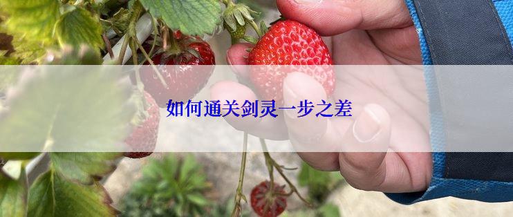  如何通关剑灵一步之差