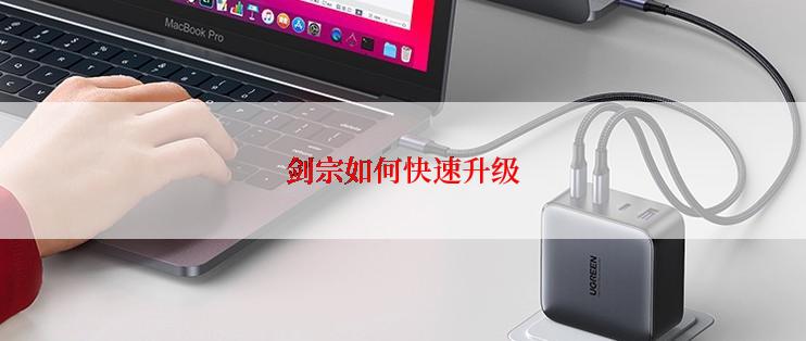 剑宗如何快速升级