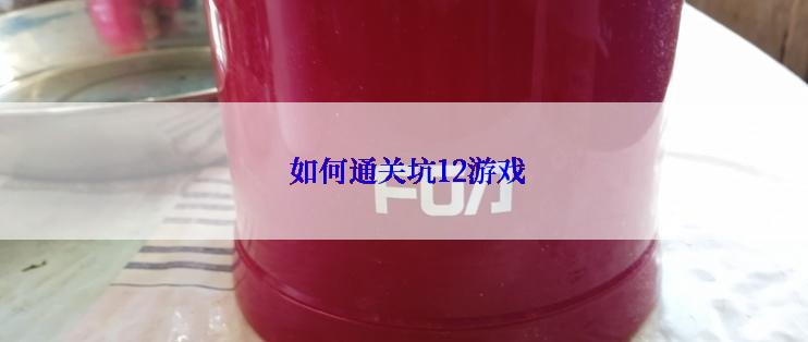 如何通关坑12游戏
