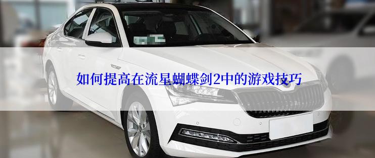  如何提高在流星蝴蝶剑2中的游戏技巧