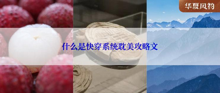 什么是快穿系统耽美攻略文