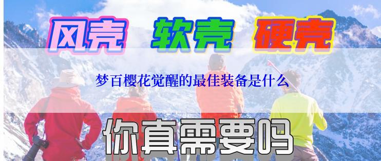 梦百樱花觉醒的最佳装备是什么