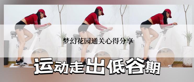  梦幻花园通关心得分享