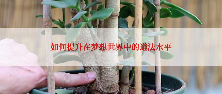 如何提升在梦想世界中的道法水平