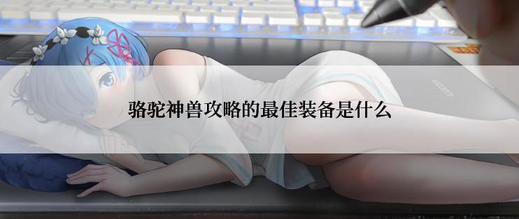 骆驼神兽攻略的最佳装备是什么