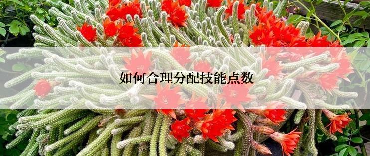 如何合理分配技能点数