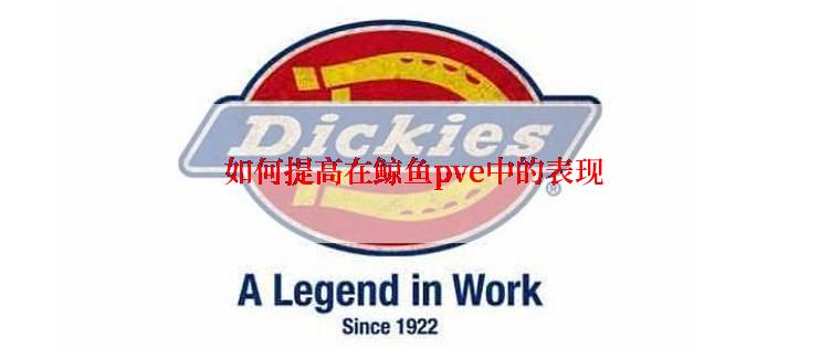  如何提高在鲸鱼pve中的表现