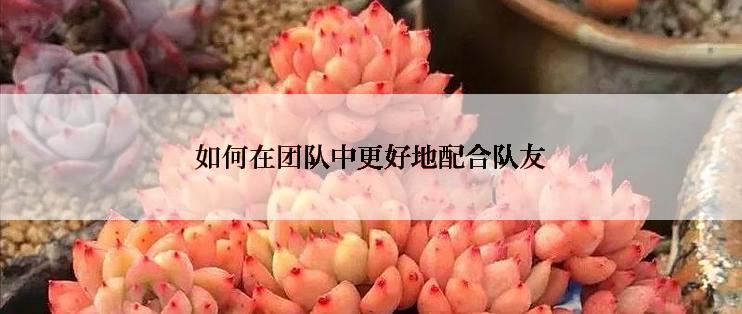 如何在团队中更好地配合队友