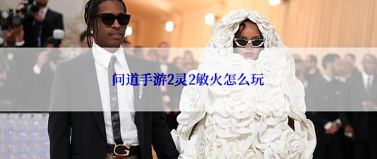 问道手游2灵2敏火怎么玩