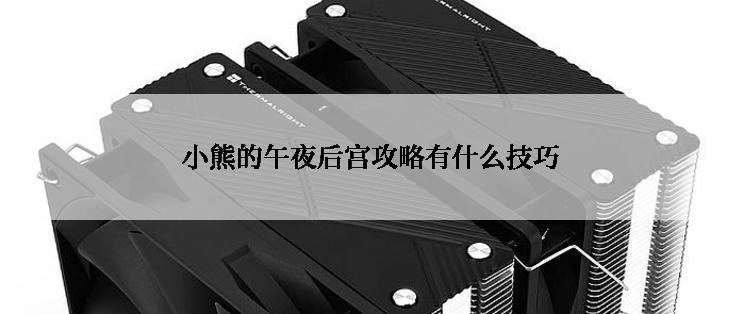 小熊的午夜后宫攻略有什么技巧