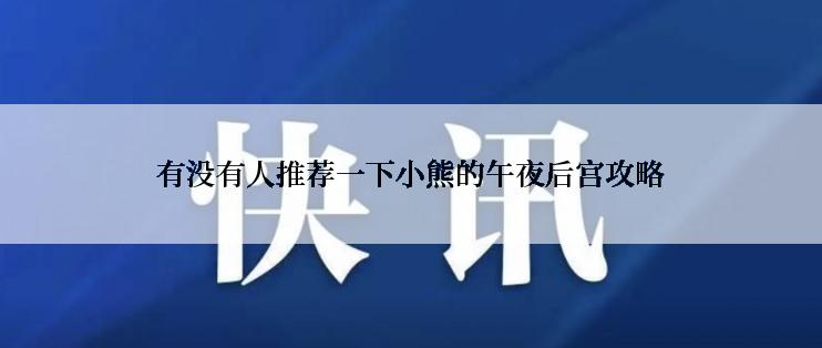 有没有人推荐一下小熊的午夜后宫攻略