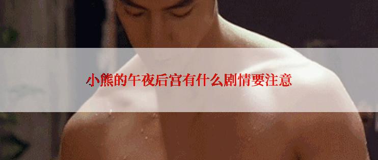 小熊的午夜后宫有什么剧情要注意