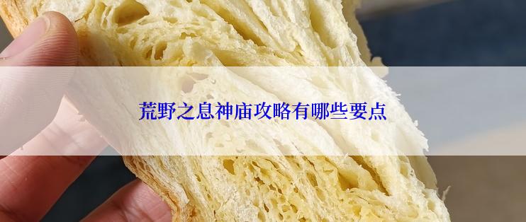荒野之息神庙攻略有哪些要点