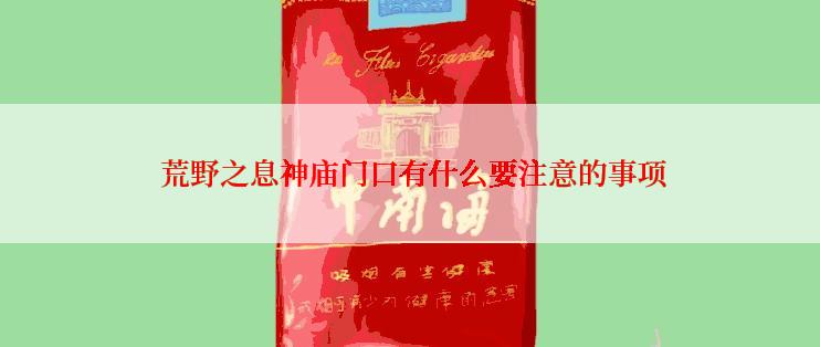  荒野之息神庙门口有什么要注意的事项