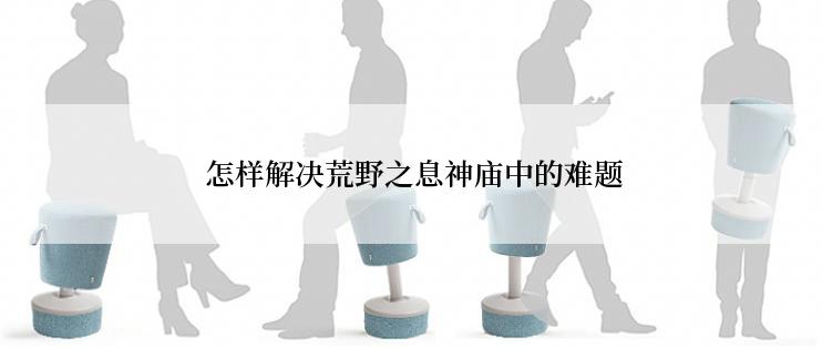  怎样解决荒野之息神庙中的难题
