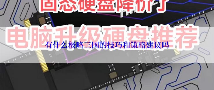 有什么极略三国的技巧和策略建议吗