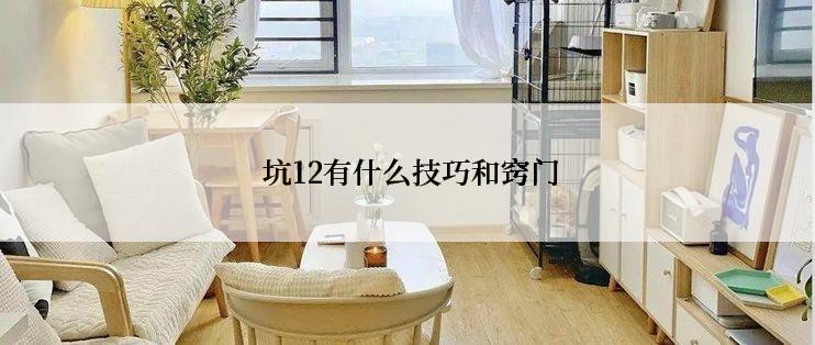  坑12有什么技巧和窍门
