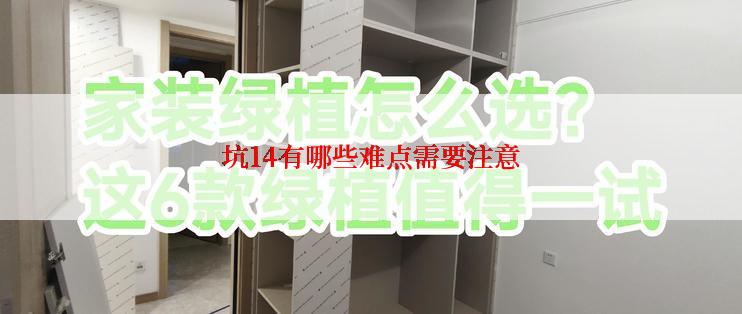 坑14有哪些难点需要注意