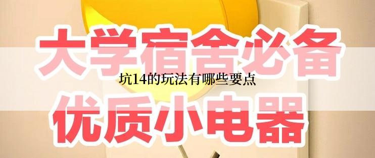 坑14的玩法有哪些要点