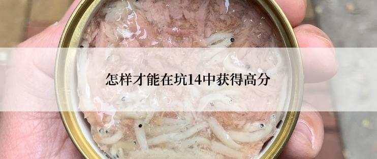 怎样才能在坑14中获得高分