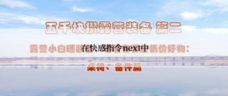  在快感指令next中