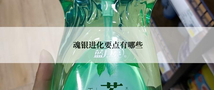  魂银进化要点有哪些
