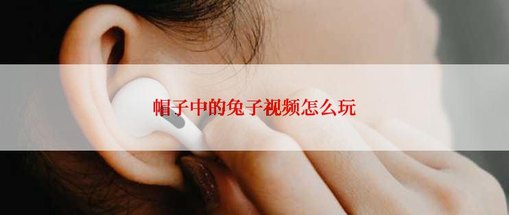 帽子中的兔子视频怎么玩