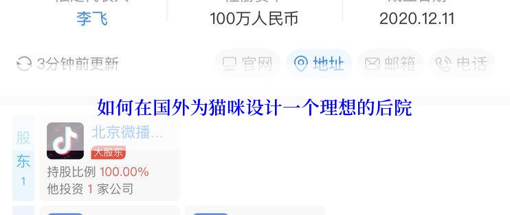 如何在国外为猫咪设计一个理想的后院