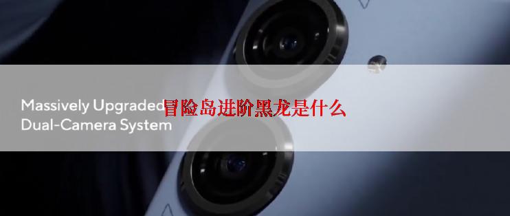 冒险岛进阶黑龙是什么