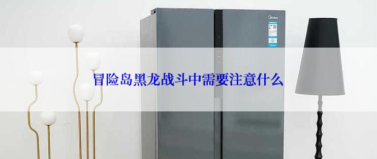 冒险岛黑龙战斗中需要注意什么