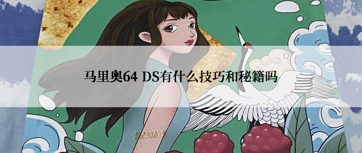 马里奥64 DS有什么技巧和秘籍吗